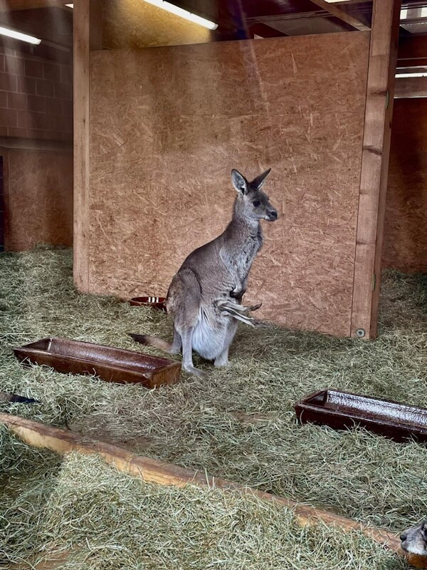 260524 ausflugInDenZoo2