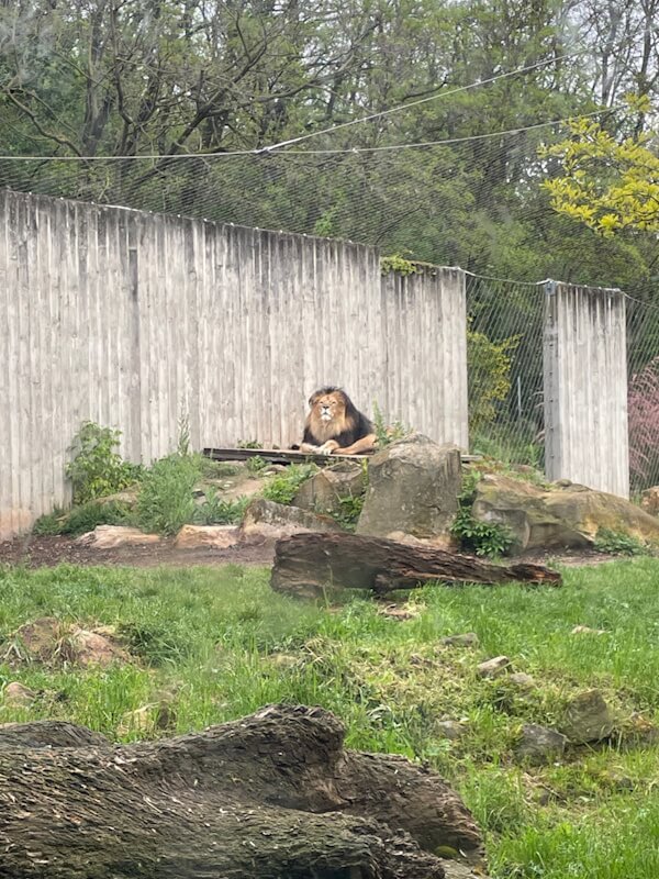 260524 ausflugInDenZoo3